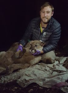 Mountain Lion and I