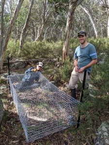 Researchers James Vandersteen and Matt Smith setting up the scavenging exclusion experiment