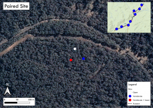 Treatment Site
