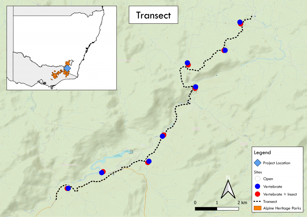 Experimental Transect